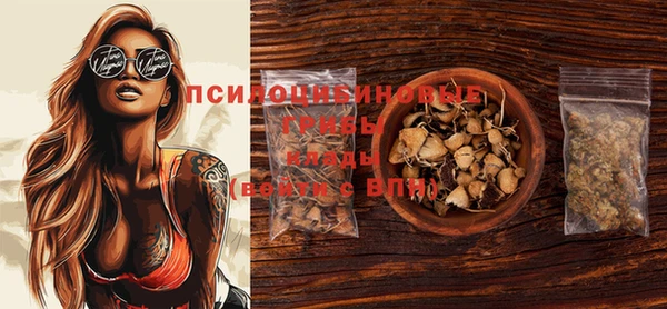 шишки Кинешма