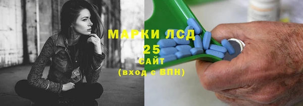 прущие грибы Киренск
