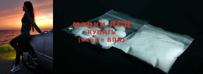 прущие грибы Киренск