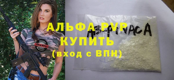 прущие грибы Киренск
