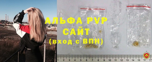 прущие грибы Киренск