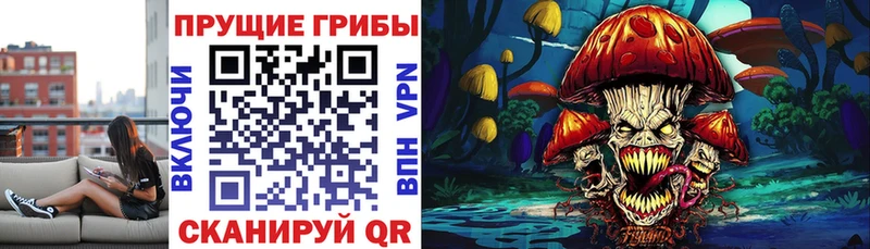 Галлюциногенные грибы мицелий  Купить  Островной 