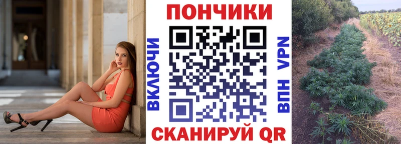 Купить где  Островной  МАРИХУАНА индика 